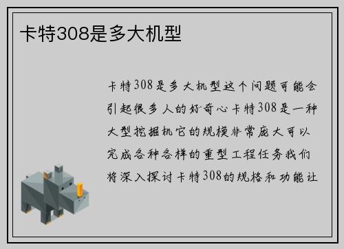 卡特308是多大机型
