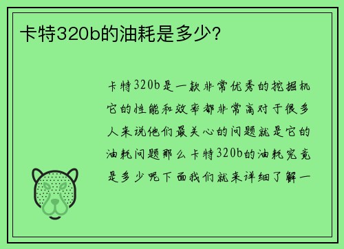卡特320b的油耗是多少？